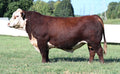Churchill Equity 3316L