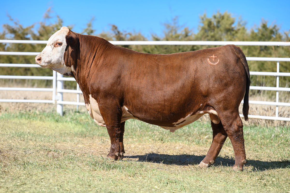 SHF Mace J338 M002 Conventional Semen – Bigelow Livestock Management